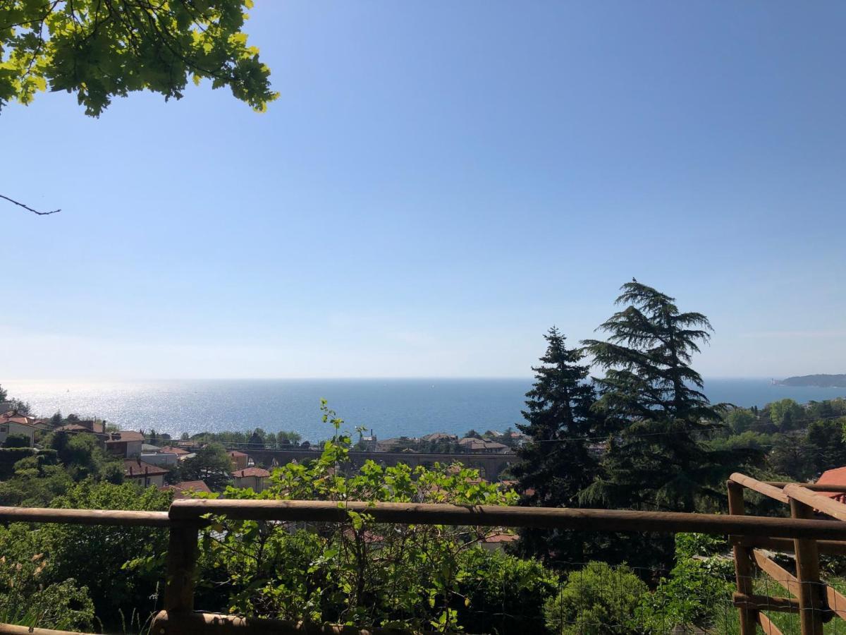 Esperia Casa Vacanza Trieste Exteriör bild